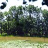 Tour 13: Darß - 2